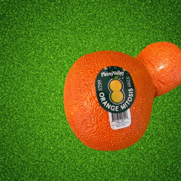 Meow Wolf Orange Awakening Orange Mitosis - Picture 3 of 4